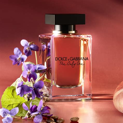 the one dolce gabbana aanbieding|dolce gabbana the one notes.